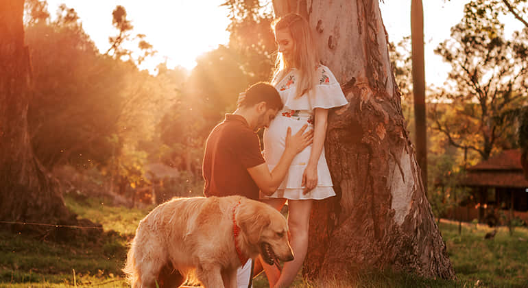 Os cobertores com pesos podem ser utilizados durante a gravidez? Os cobertores com pesos podem ser utilizados durante a gravidez? 1